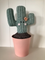 Gratis patroontje cactus